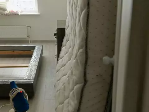 Клопов в спальне больше нет